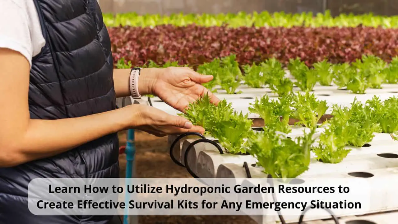 Learn How to Utilize Hydroponic Garden Resources to Create Effective Survival Kits for Any Emergency Situation