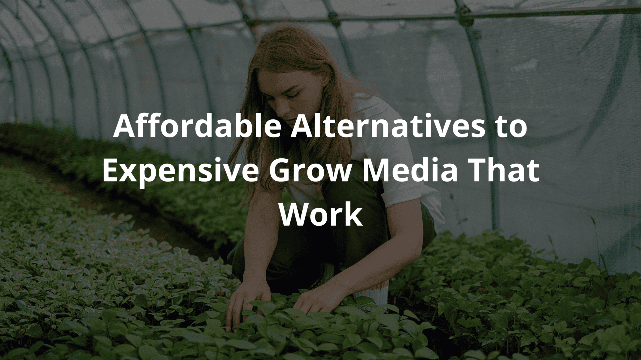 Affordable Alternatives to Expensive Grow Media