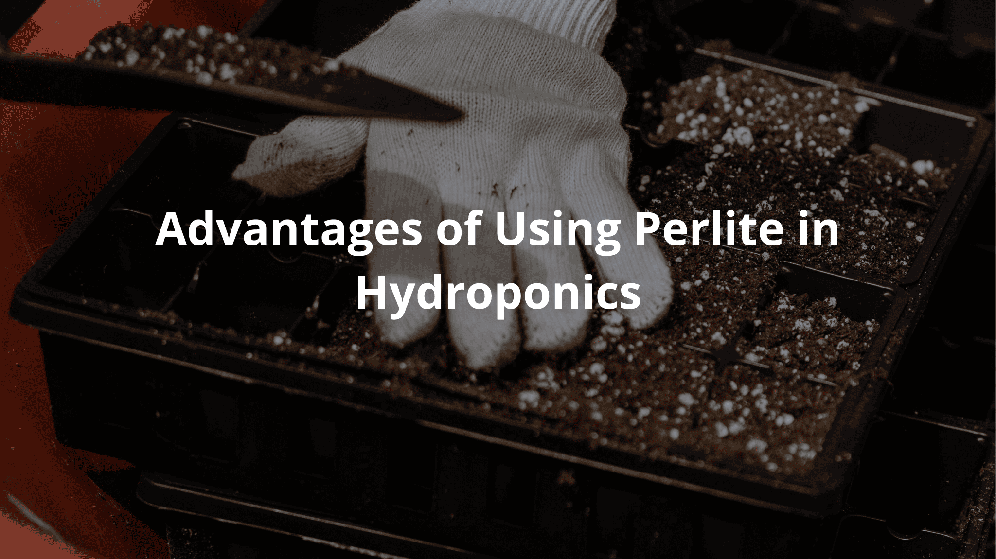 Advantages of Using Perlite in Hydroponics