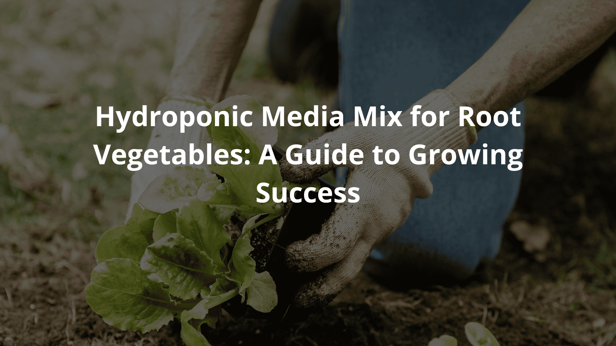 Hydroponic Media Mix for Root Vegetables