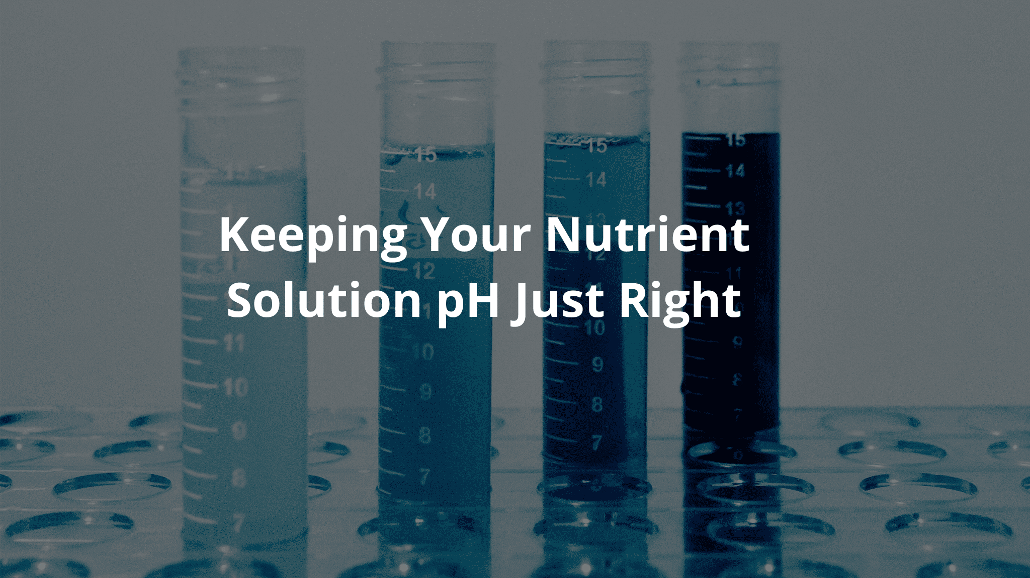 Glass beakers filled with liquids of varying shades of blue, with the text "Keeping Your Nutrient Solution pH Just Right