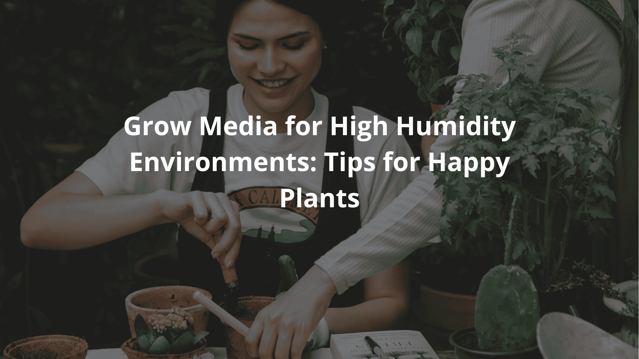 Grow Media for High Humidity Environments