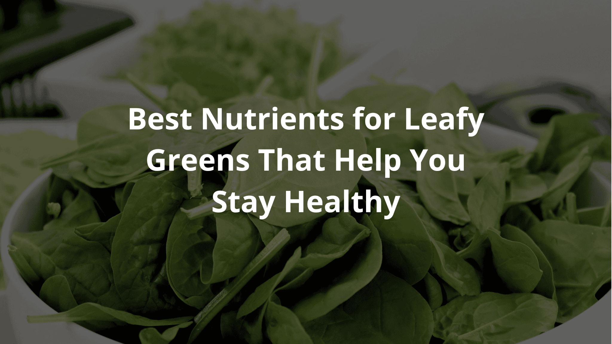 Best Nutrients for Leafy Greens