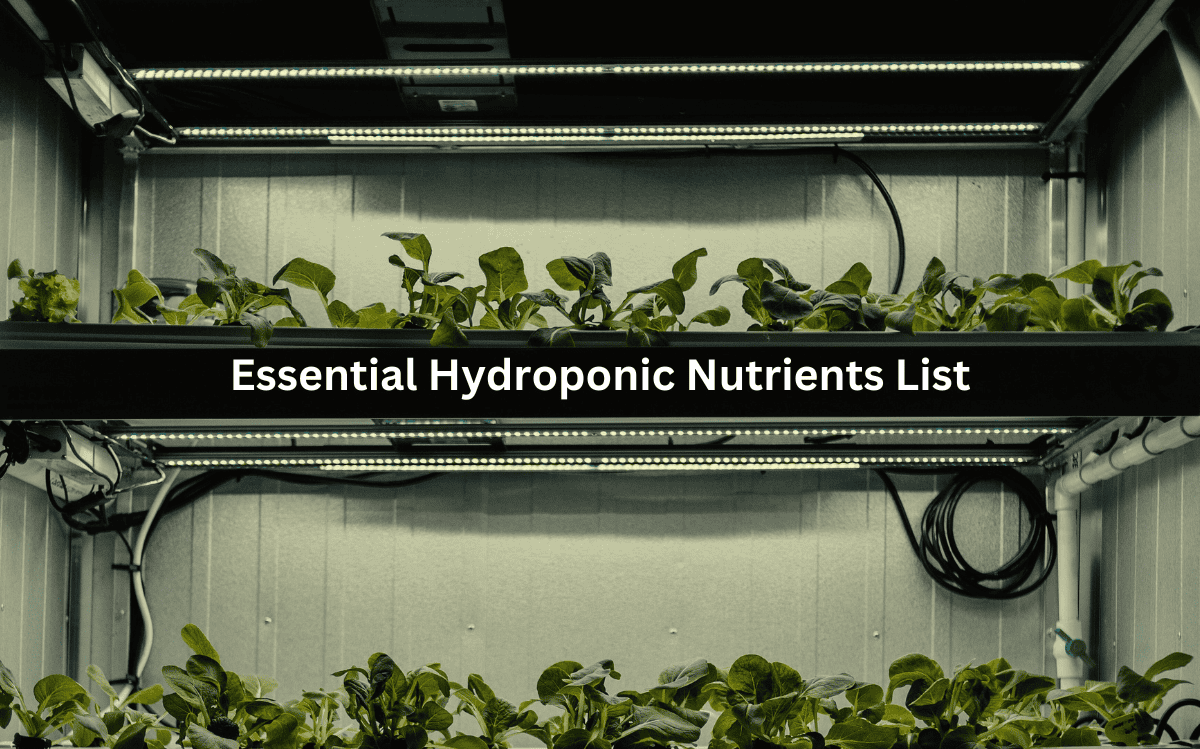 Indoor hydroponic growing system with lush green plants and the text "Essential Hydroponic Nutrients List" displayed prominently.