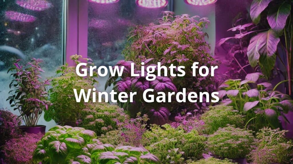 Grow Lights for Winter Gardens