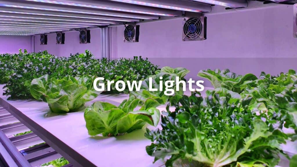 grow lights