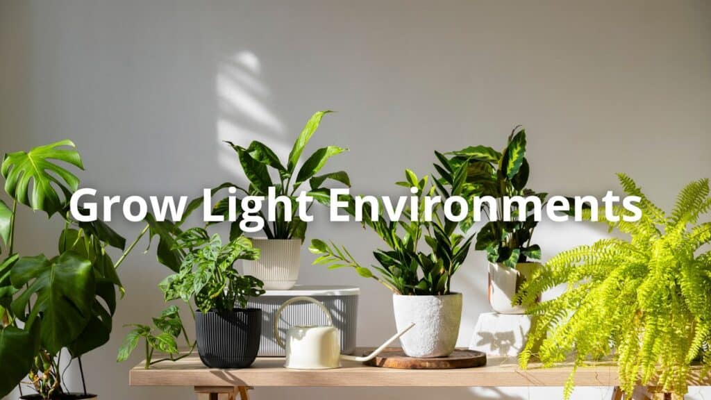 Grow Light Environments